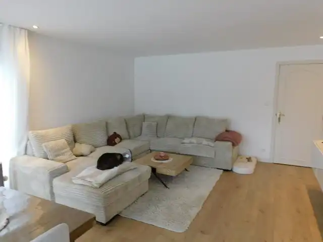 Volledig gerenoveerd appartement met groot terras foto 4