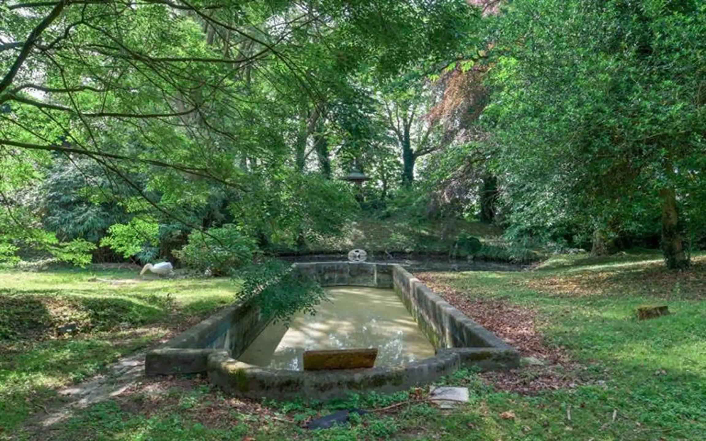 Imposante neoclassicistische herenwoning met 7 slpk., 2 badk. op 59 are 51 ca foto 5