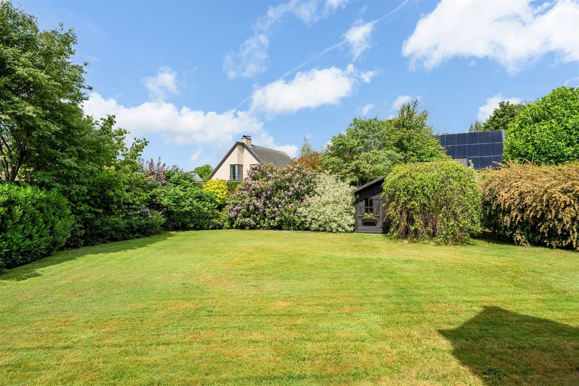 Topper! Instapklare woning in residentiële buurt, met zonnige tuin! foto 5