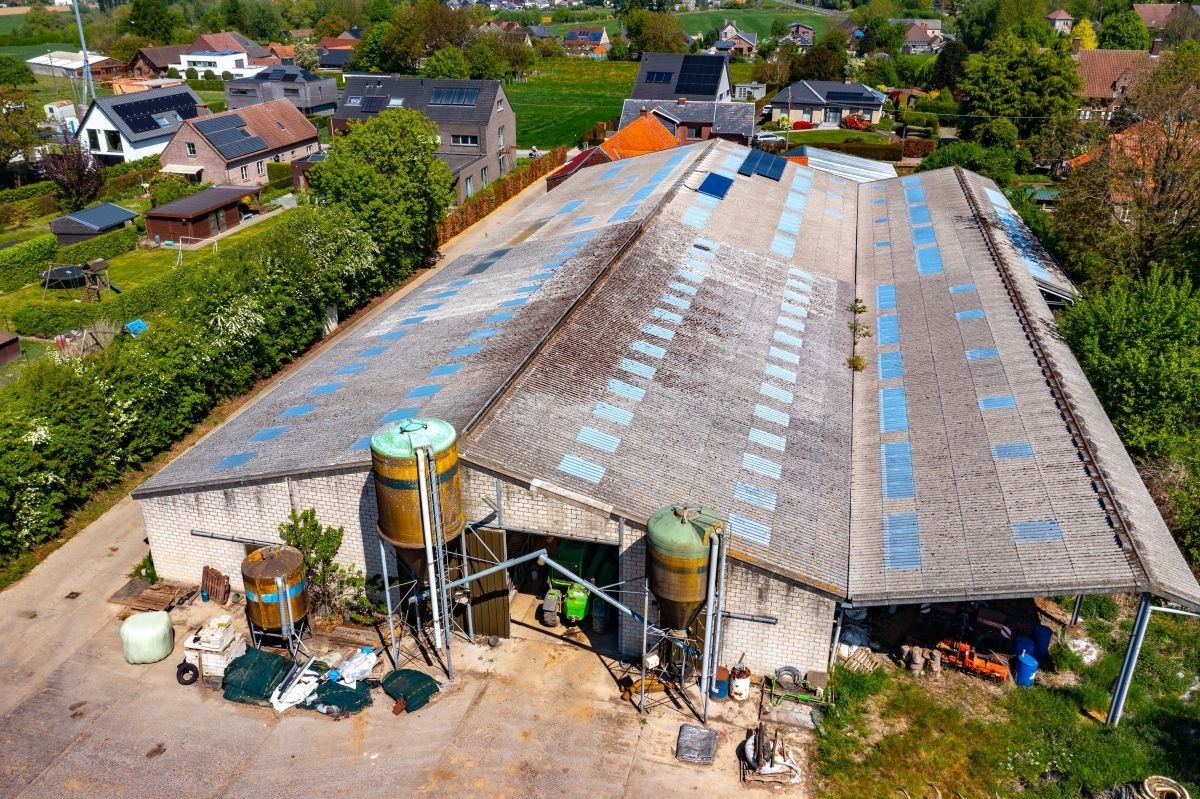 Hoeve met ruime stallen te koop te Zottegem op 4,68 ha foto 6