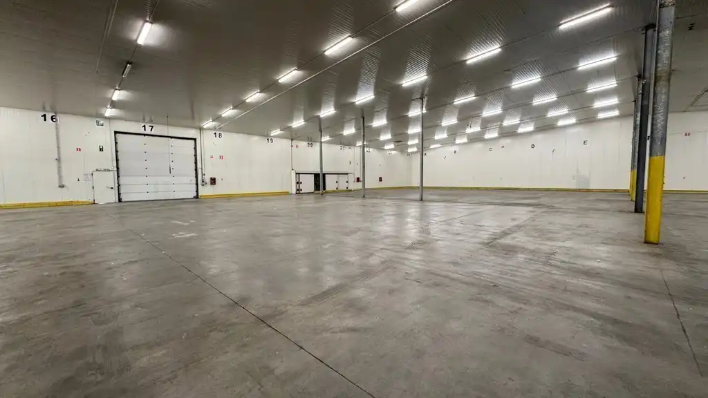 Loods te huur in haven van Antwerpen foto 4