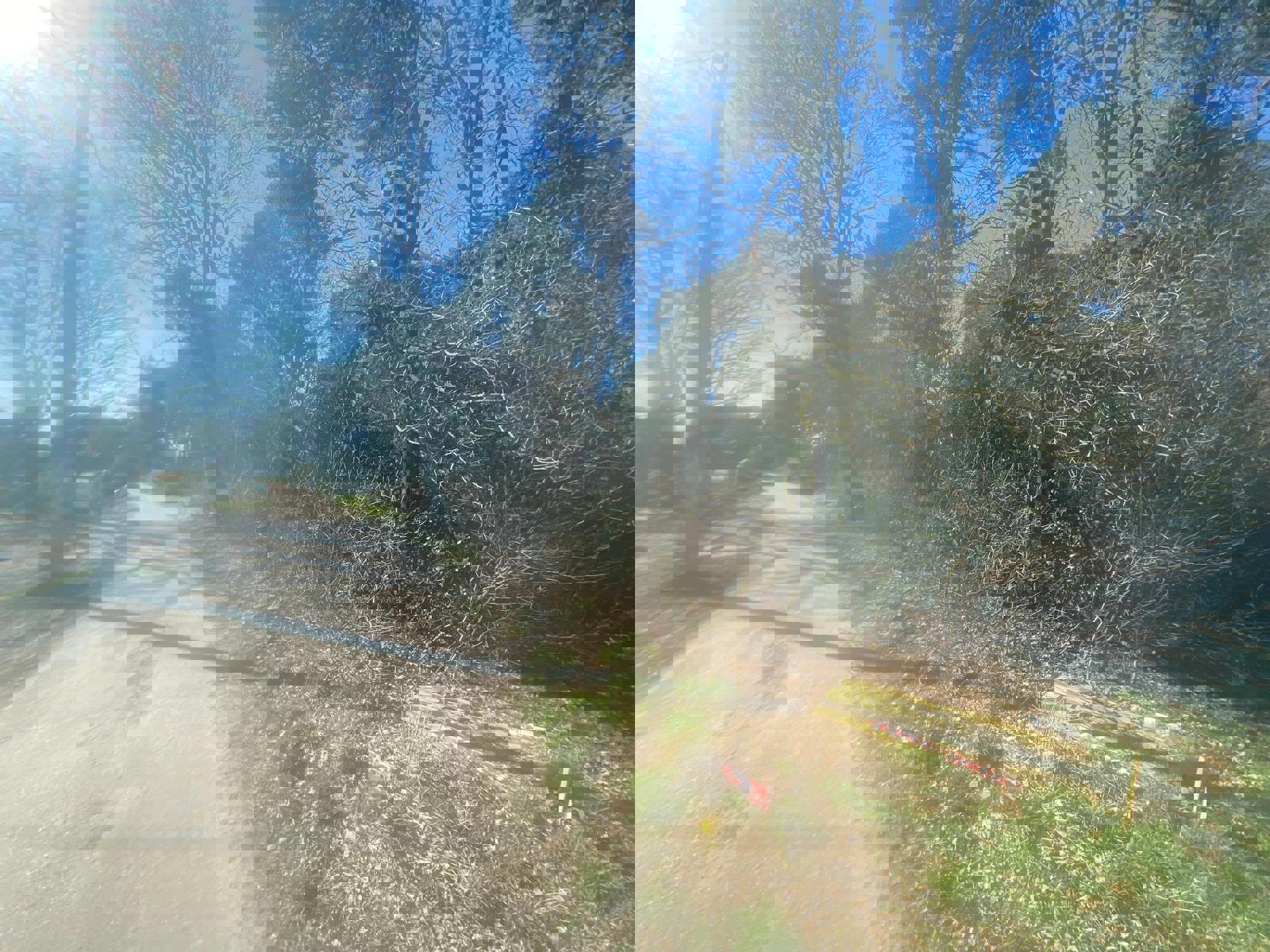 Perceel bosgrond gelegen aan verbindingsweg tussen Scheps en Schoor te Balen foto 5