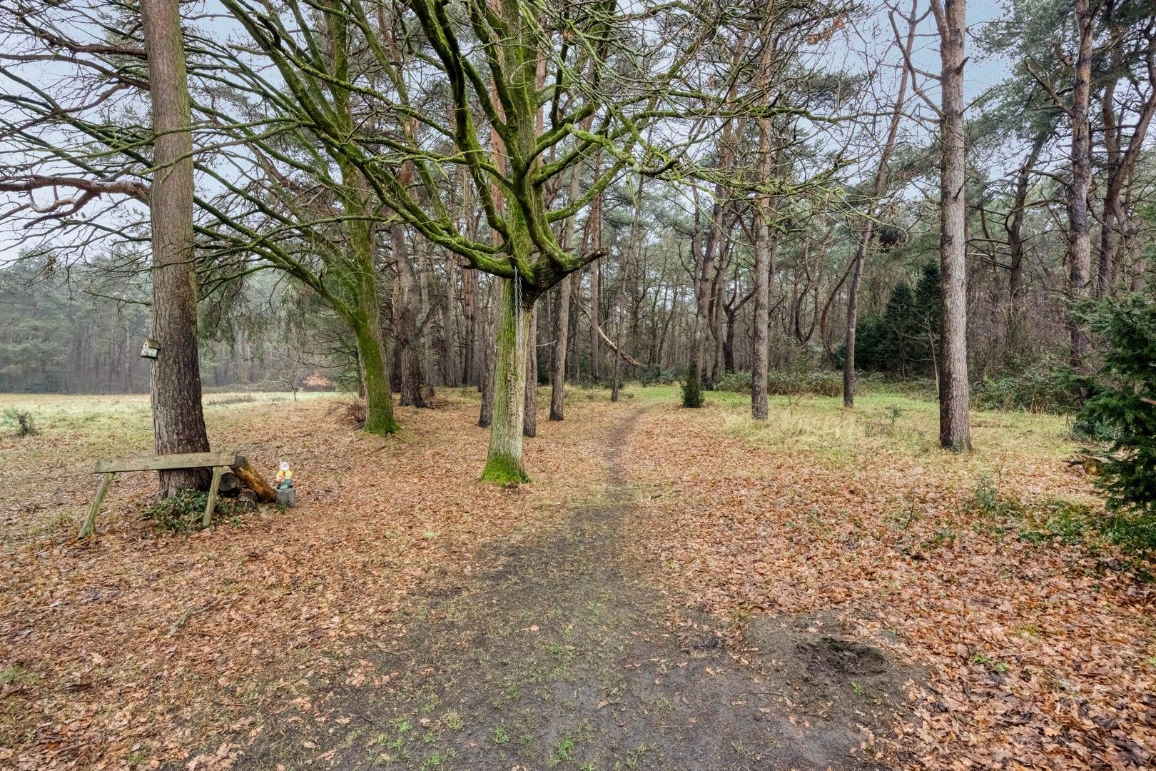 Oude Baan 708, 3630 Maasmechelen foto 33