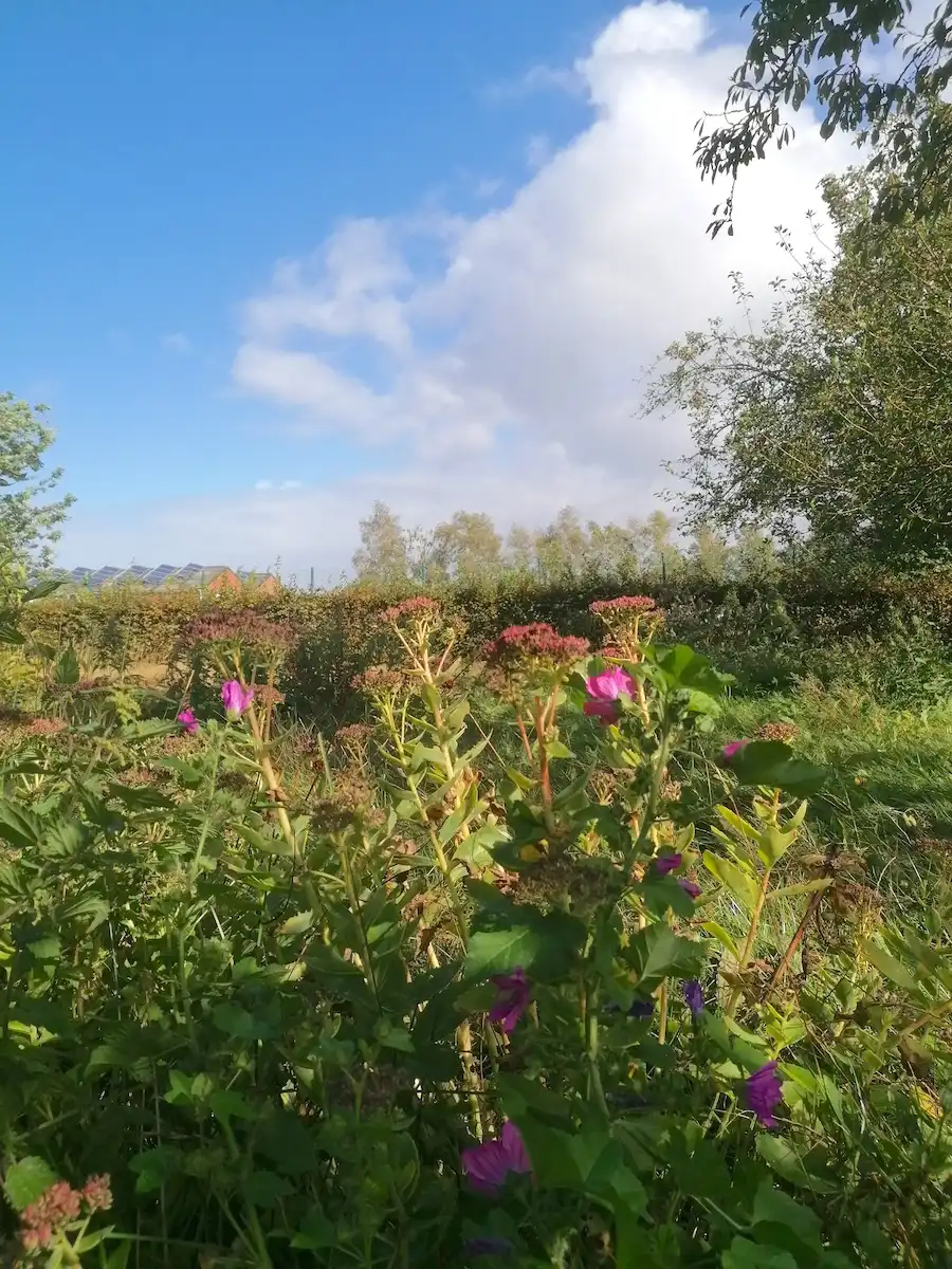 Charmante villa met kangoeroewoning of home office foto 25