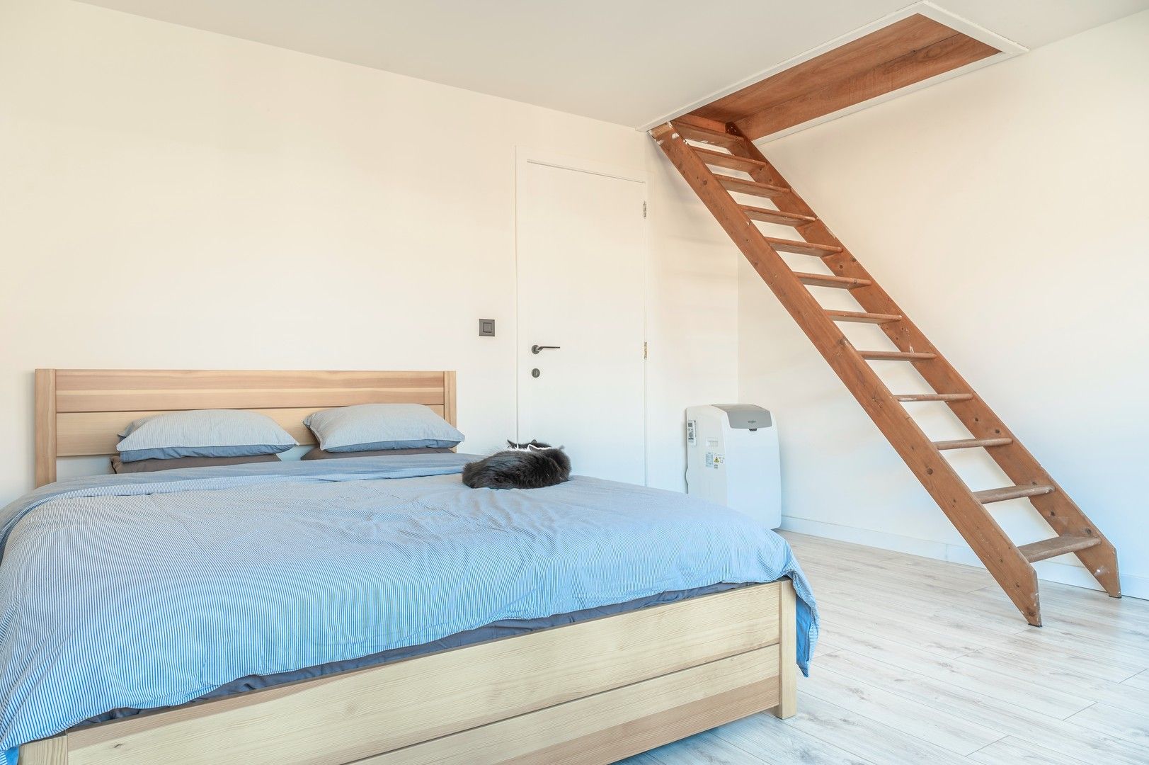 Charmante woning met tuin en karakter in het hart van Hoboken foto 17