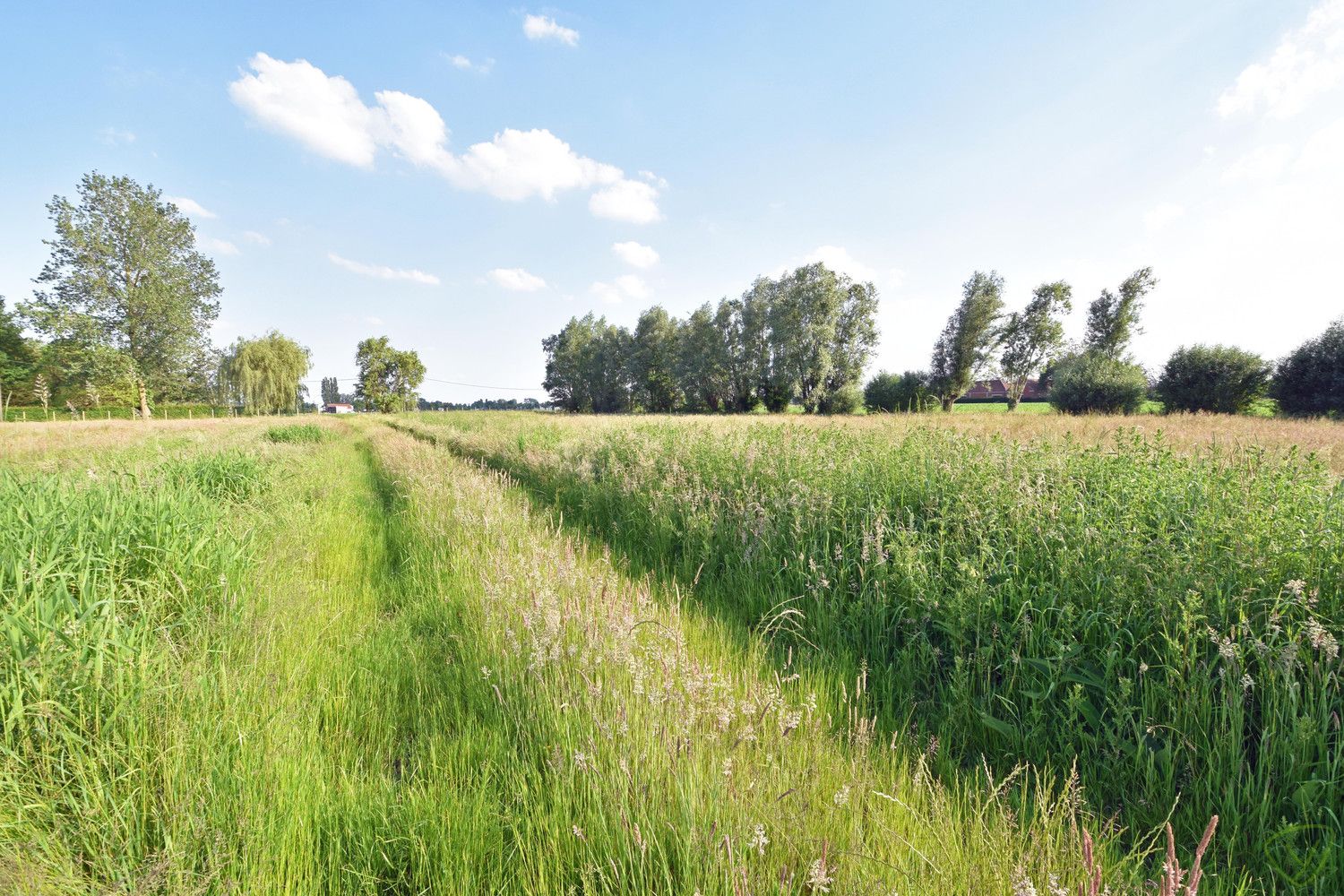 Makkelijk toegankelijk stuk landbouwgrond nabij het centrum van Knesselare foto 4