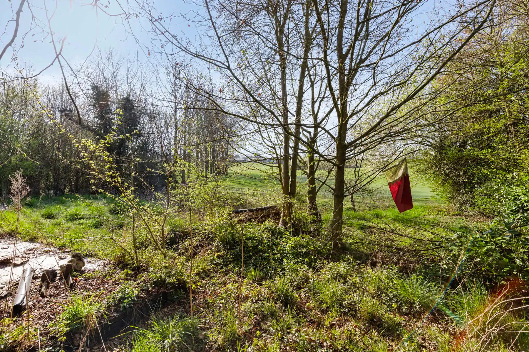 OPTIE Uitzonderlijk perceel bouwgrond met afgebrande woning foto 6