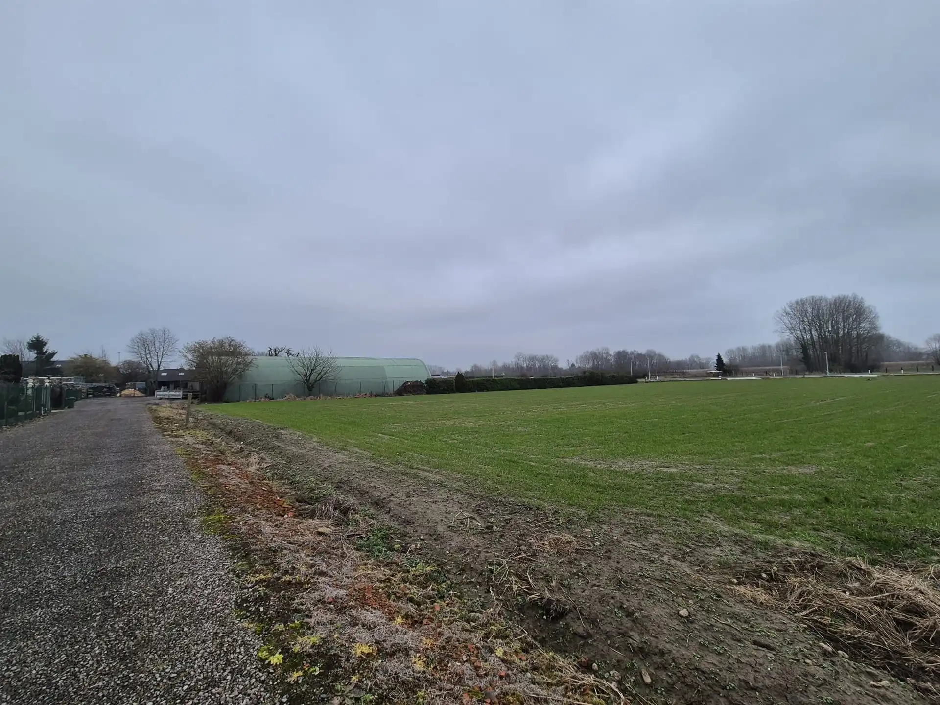 Loods van ± 1.000 m² met ruime buitenopslag. foto 15