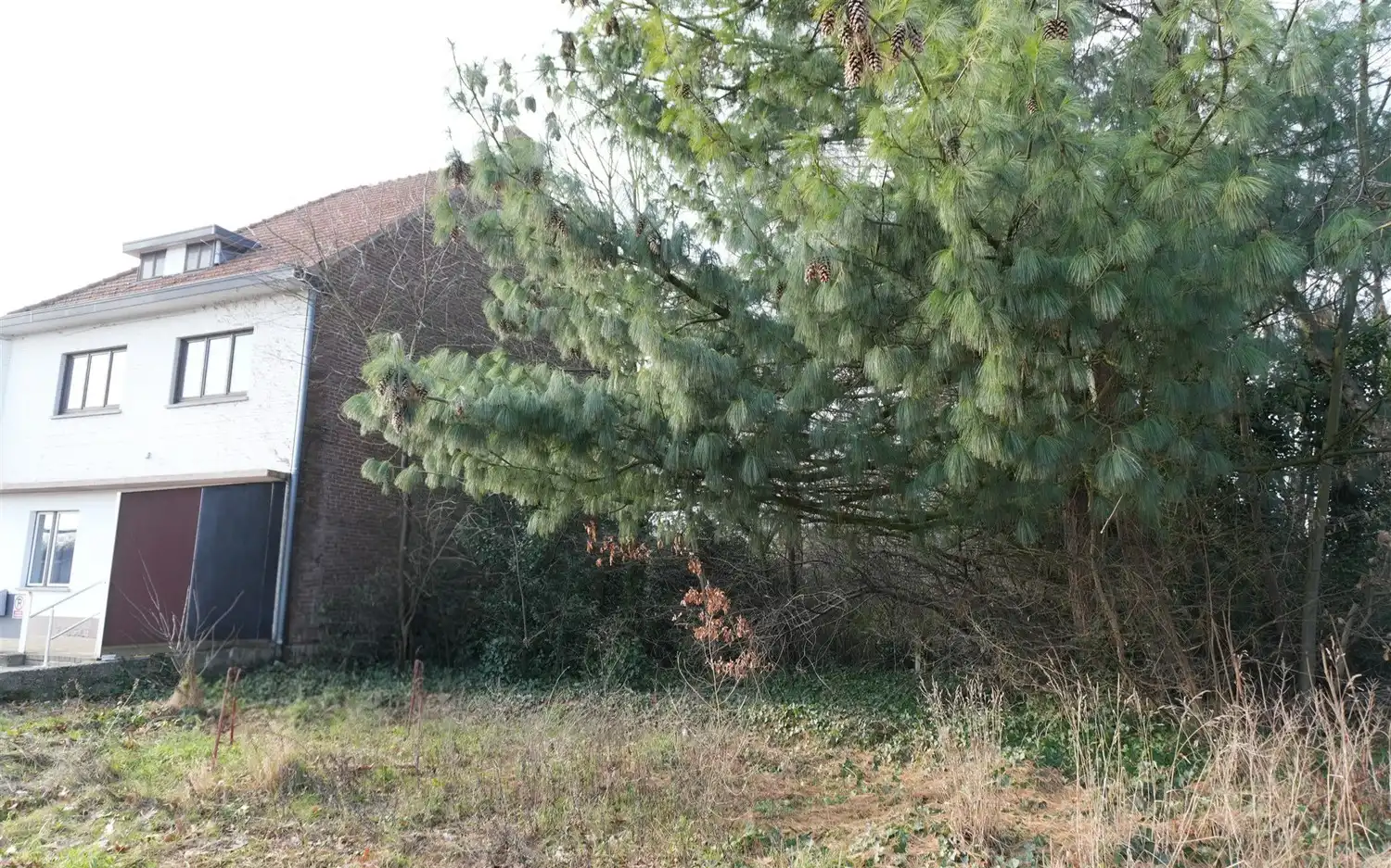 Strategisch gelegen bouwgrond aan stadsrand Genk foto 2