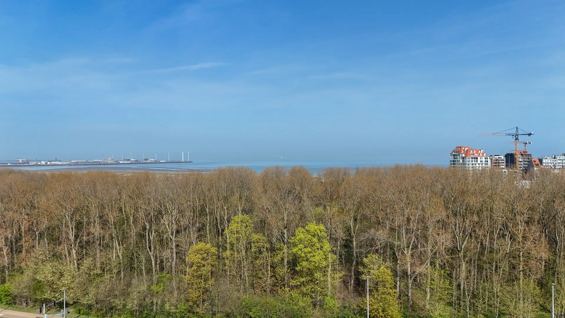 Bouwrijp perceel bouwgrond met vergunde plannen   foto 4