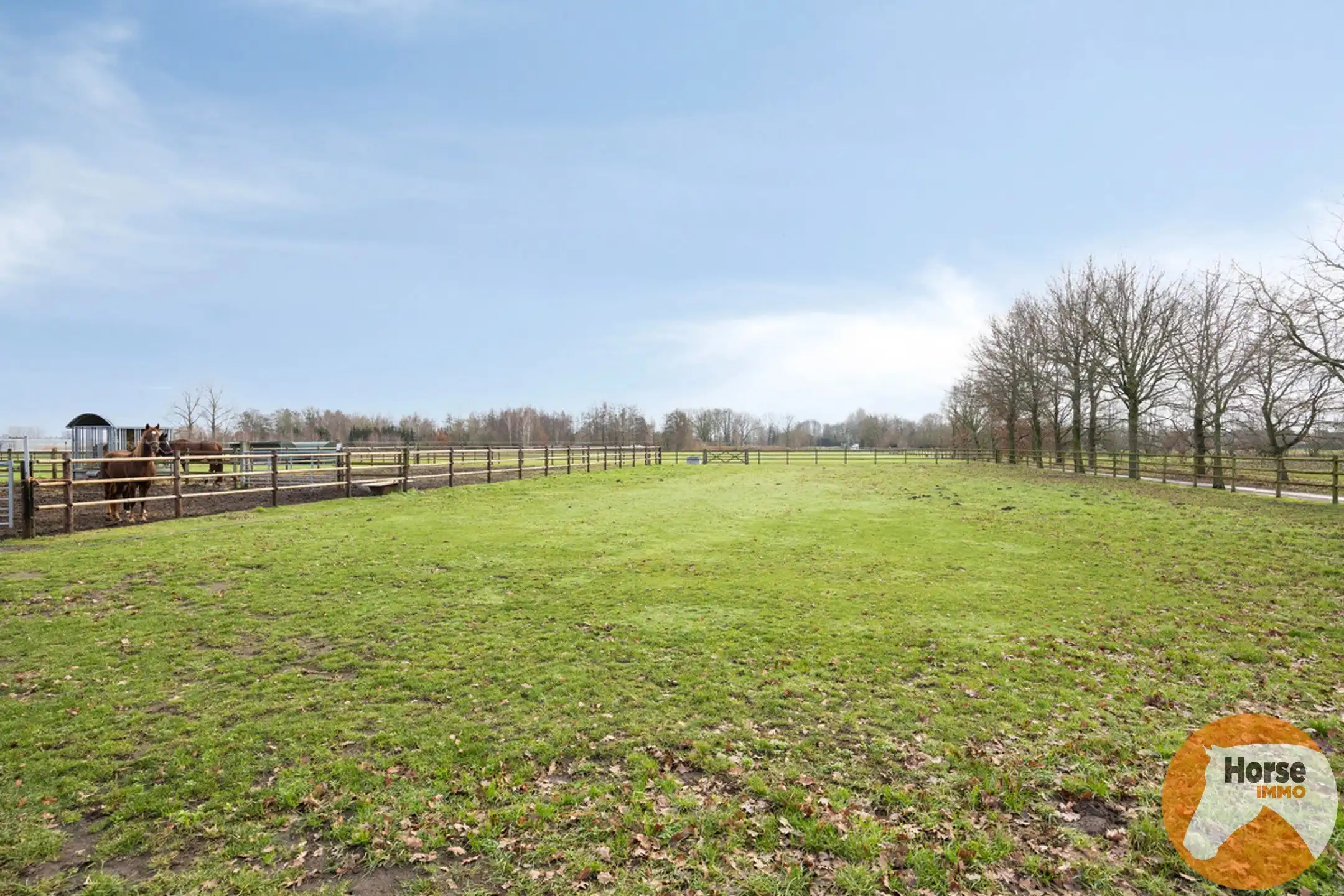 LOCHRISTI - Rustig gelegen stalgebouw op +- 2,3HA foto 14
