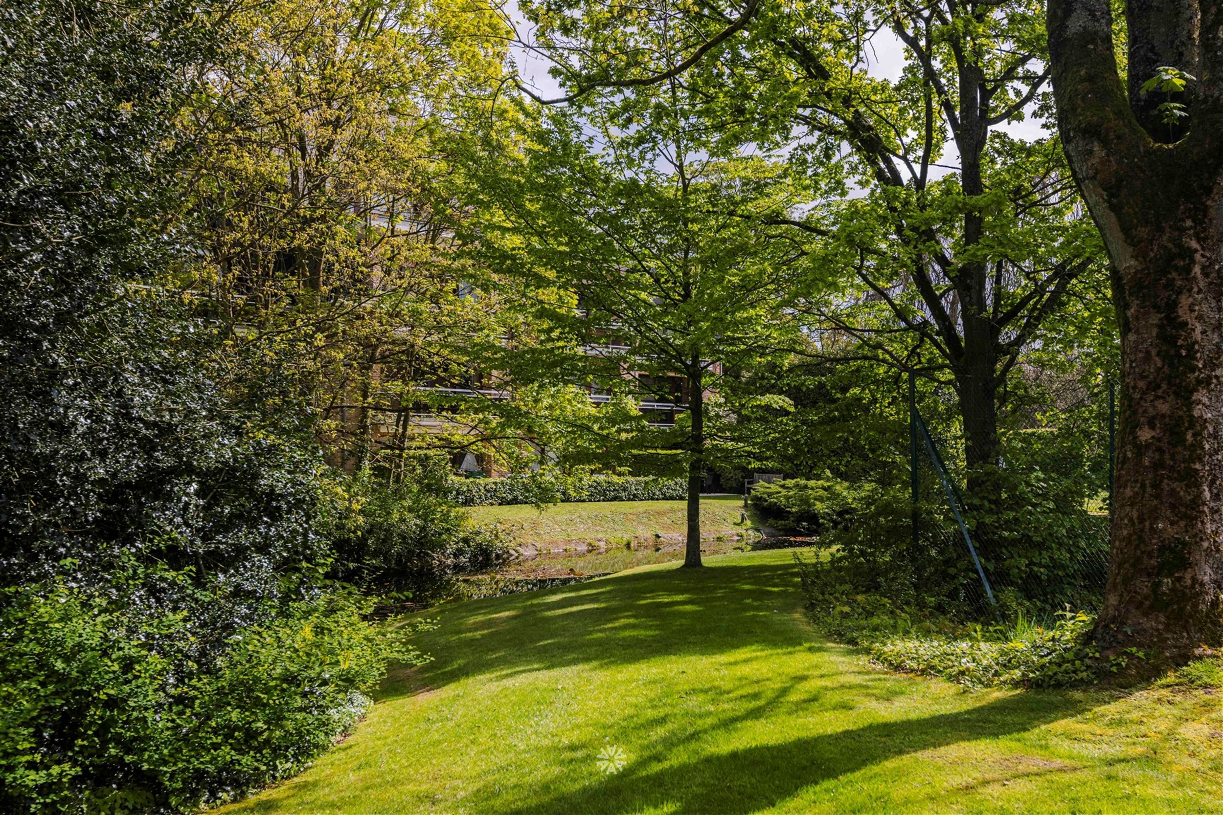 Gelijkvloers appartement met terras op exclusief domein te koop in Heusden foto 21