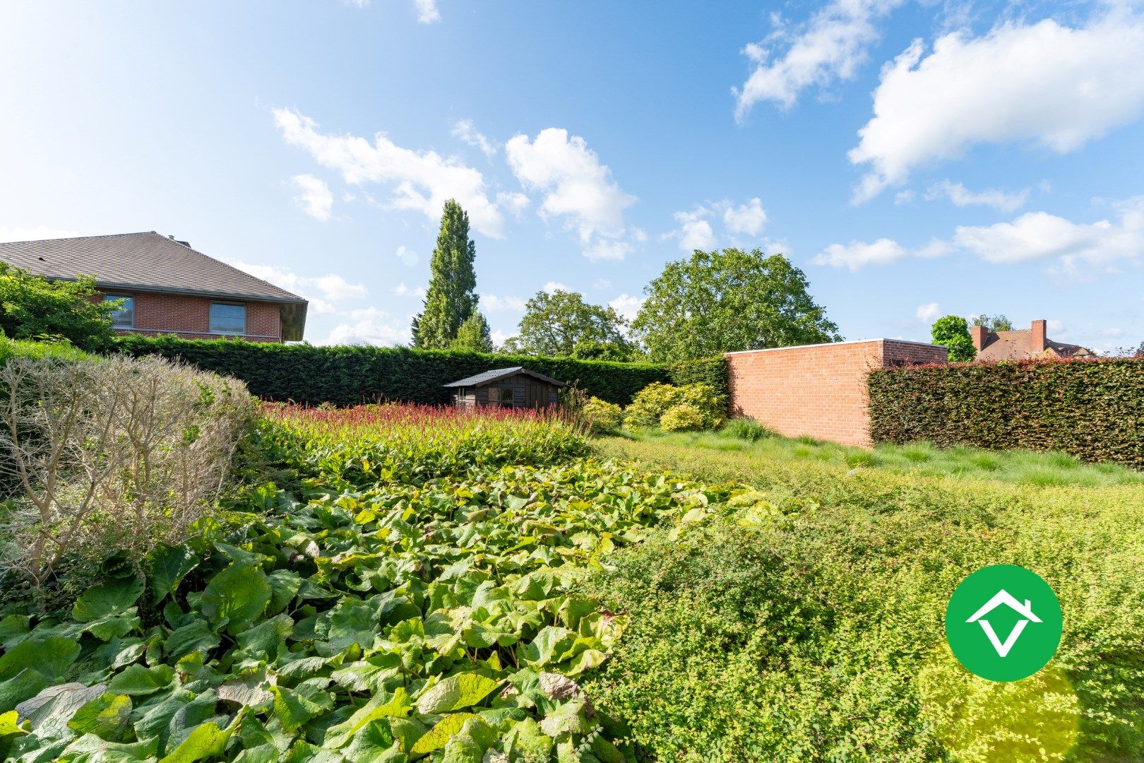Alleenstaande woning met 3 slaapkamers te Gullegem  foto 25