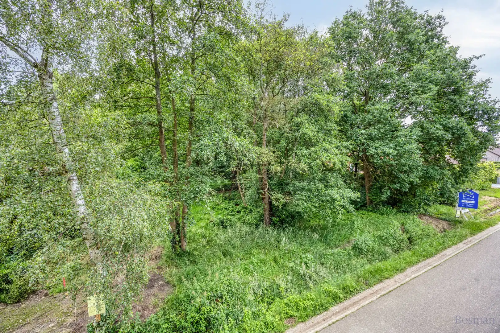 Bouwgrond op 16a 76ca te koop in Tessenderlo-Ham foto 7