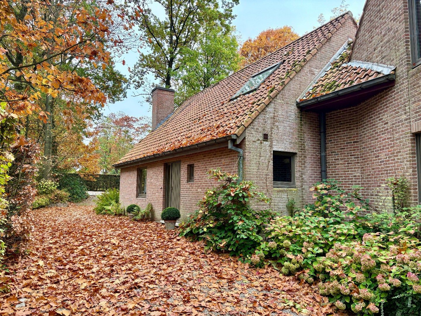 Wonen in het bos met een totale opp van 1679m². foto 10