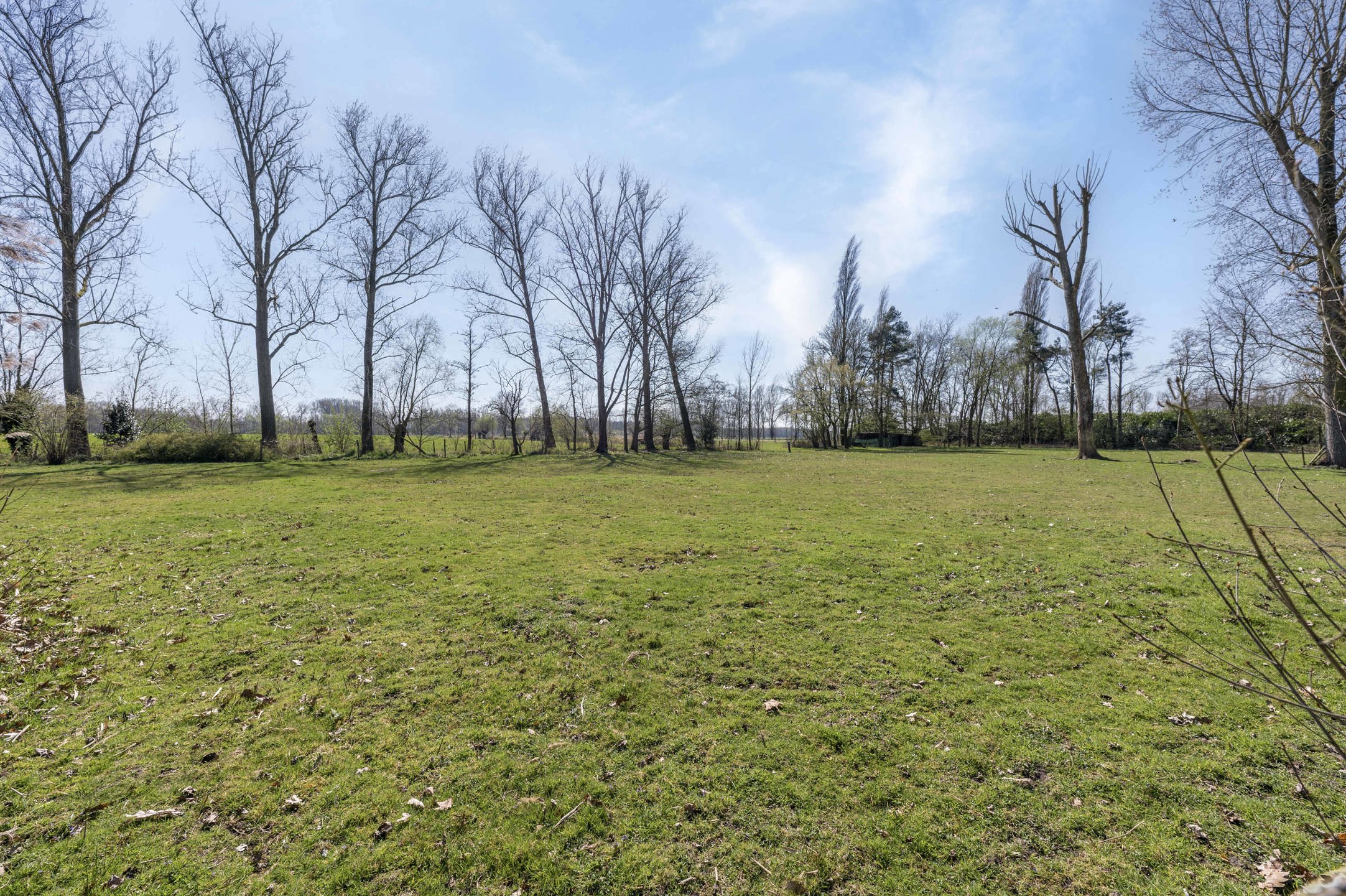 Huis te koop foto 49