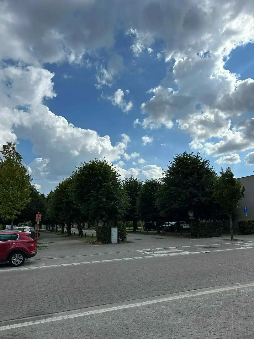 Zichtbare Ligging met Parkeergelegenheid in Borsbeek foto 11