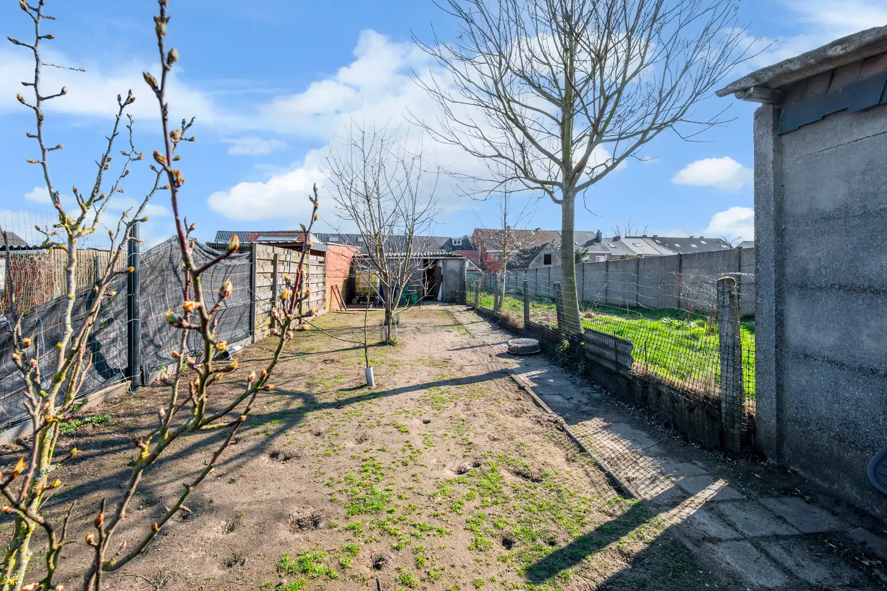 Ideale starterswoning met 4 slaapkamers en tuin foto 2
