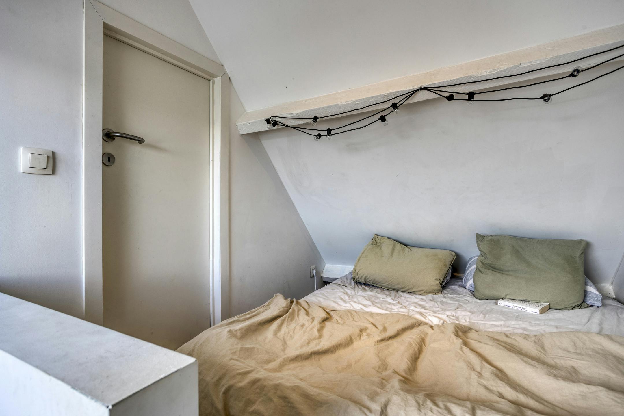 Dakappartement te koop op het prachtige Antwerpen Zuid foto 10