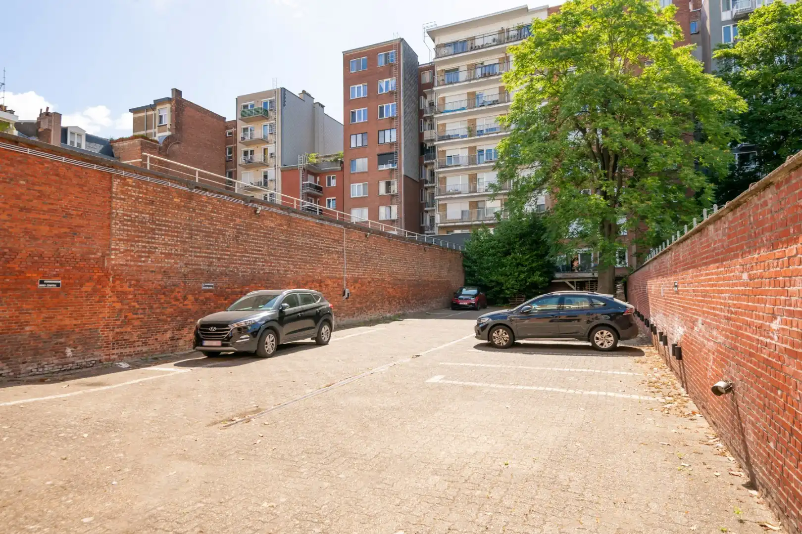 Frankrijklei 103 foto 12