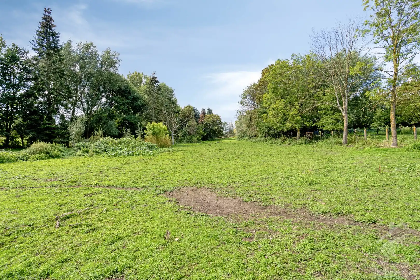 Volledig onderkelderde bungalow te koop op groot perceel foto 25