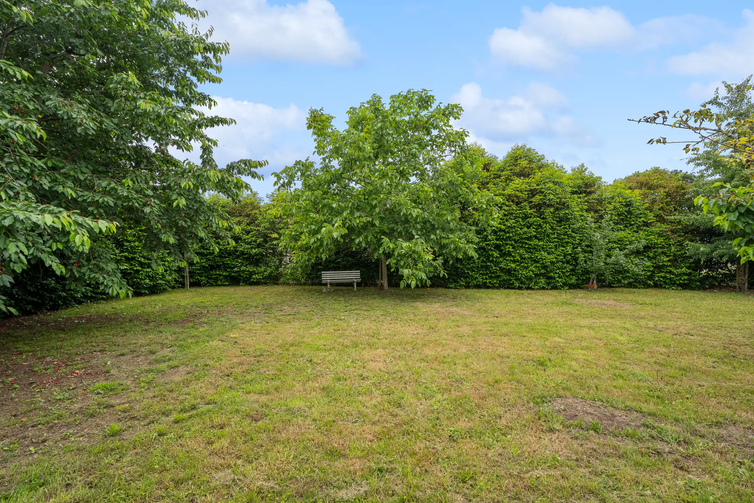 Ruime bungalow met magazijn op 1.101 m² grond foto 16