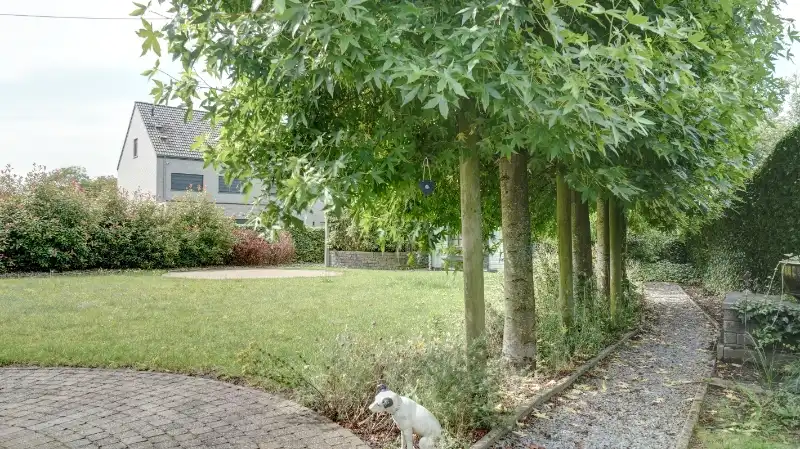 Ruime villa van 435m² in pastorale stijl op 9 are 64 ca foto 26