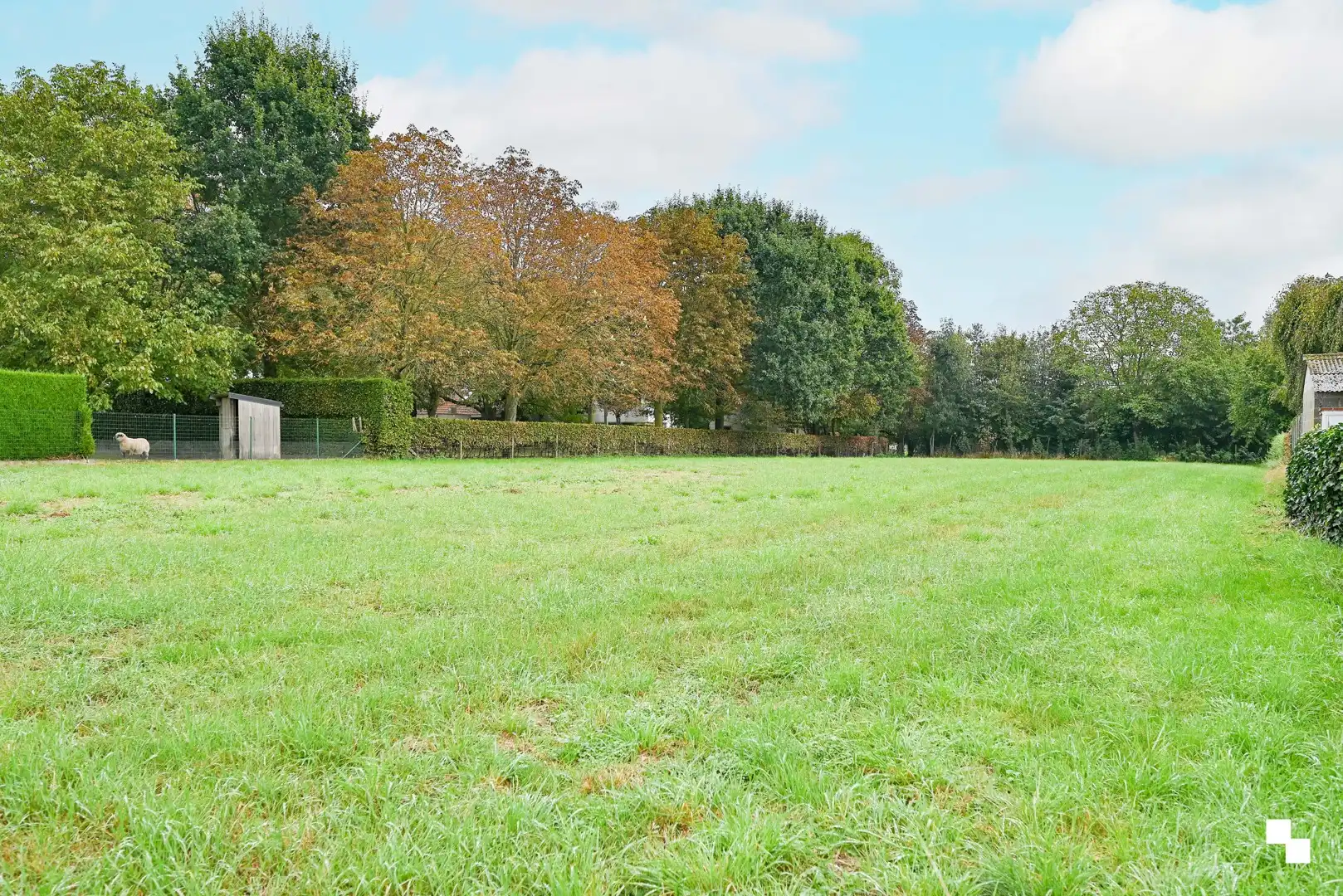 Uitzonderlijke bouwgrond van 2.400 m² in Hulste foto 2