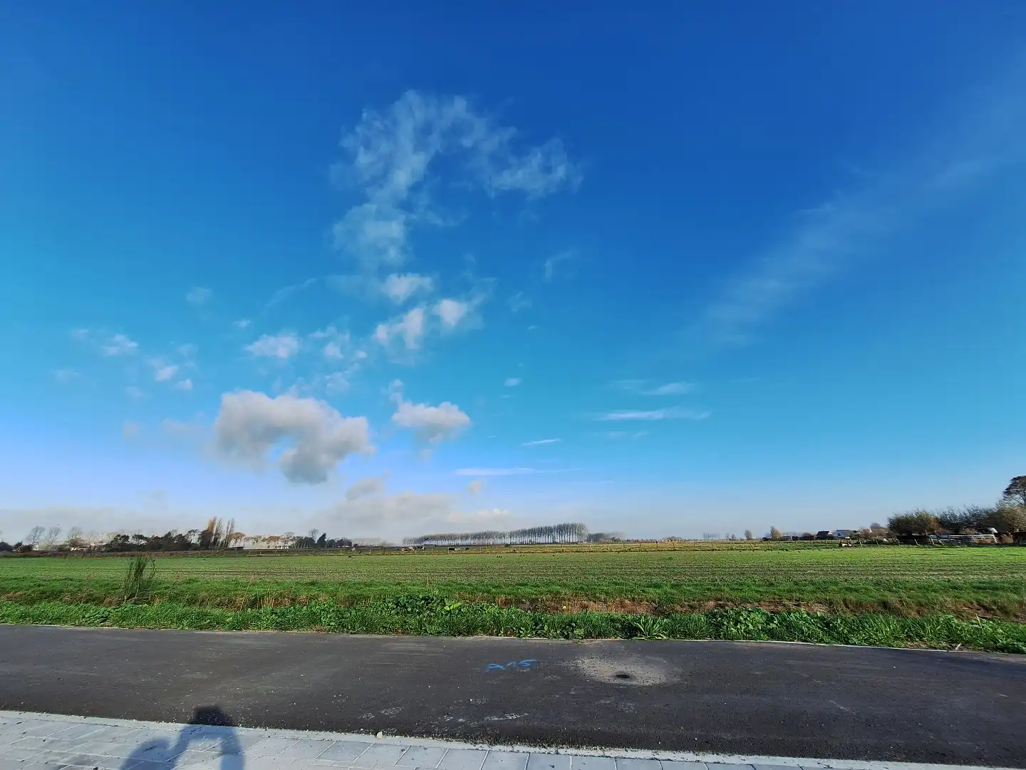 Perceel bouwgrond voor villabouw  -  Lot 1 foto 4