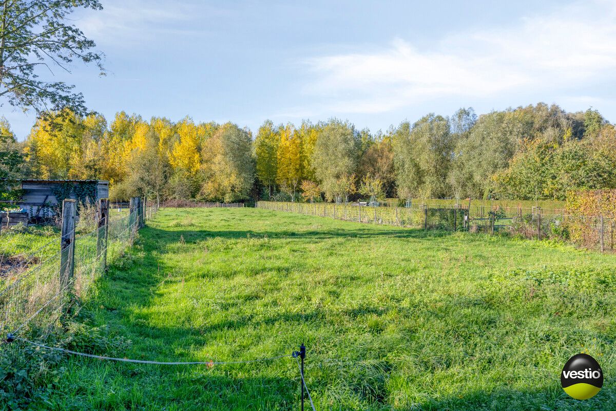 RUSTIG GELEGEN RUIME VRIJSTAANDE WONING MET GROTE TUIN OP 22A49CA TE HOESELT. foto 31