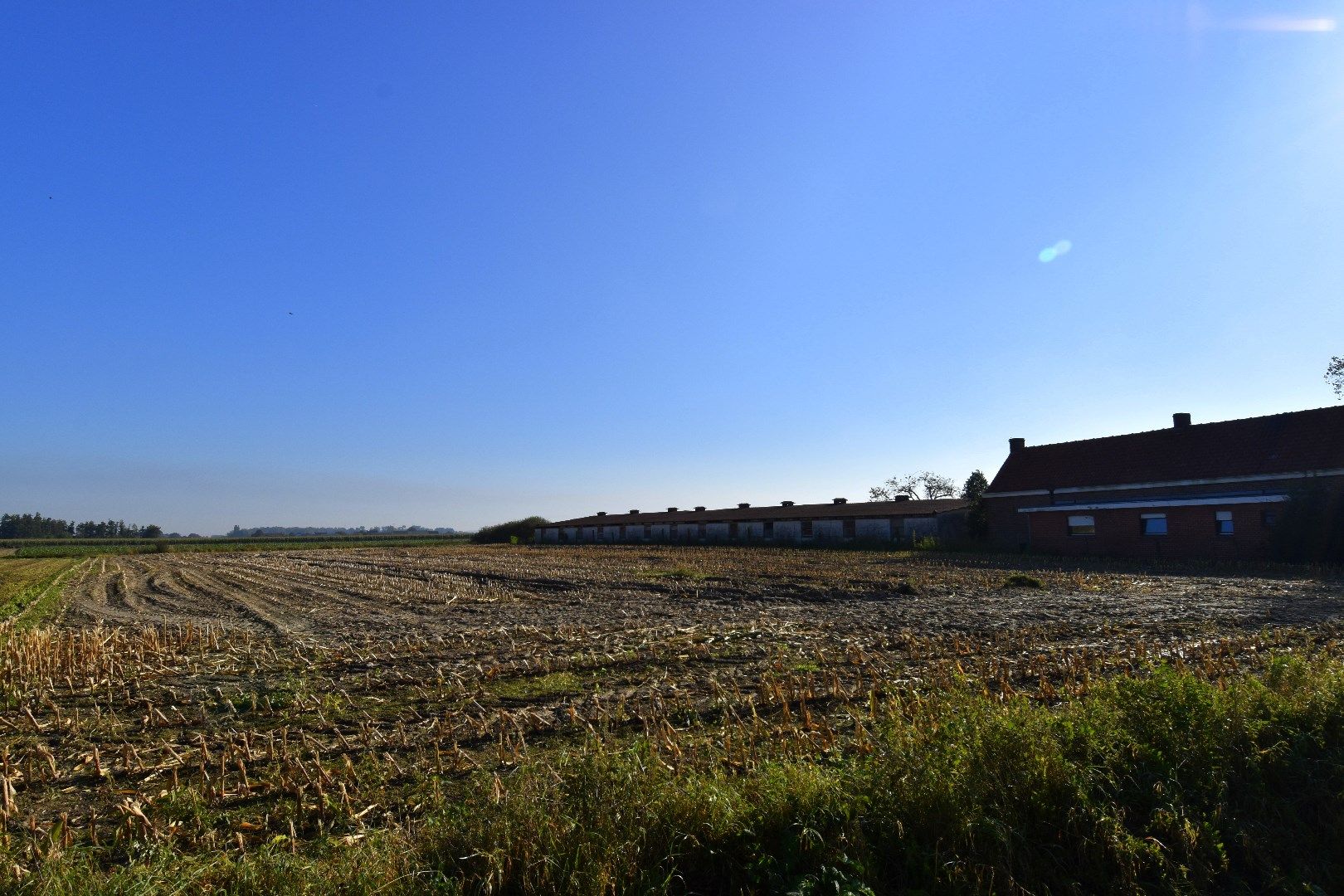 Hoeve op 11.106 m² te koop in het landelijke Spiere-Helkijn foto 11