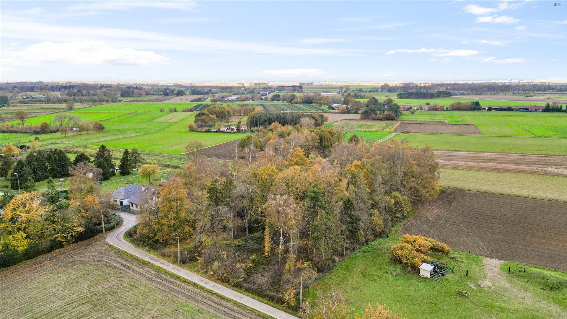 Bos op 5467m² grond foto 2