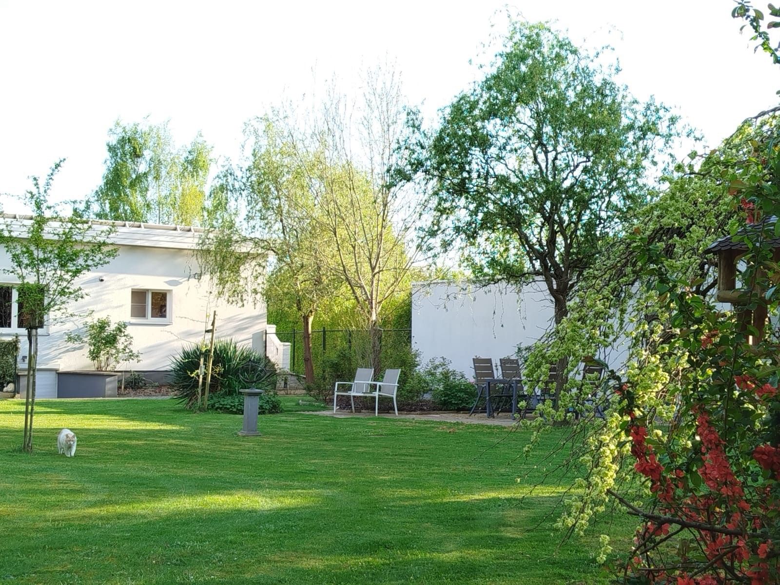 Villa te koop foto 51