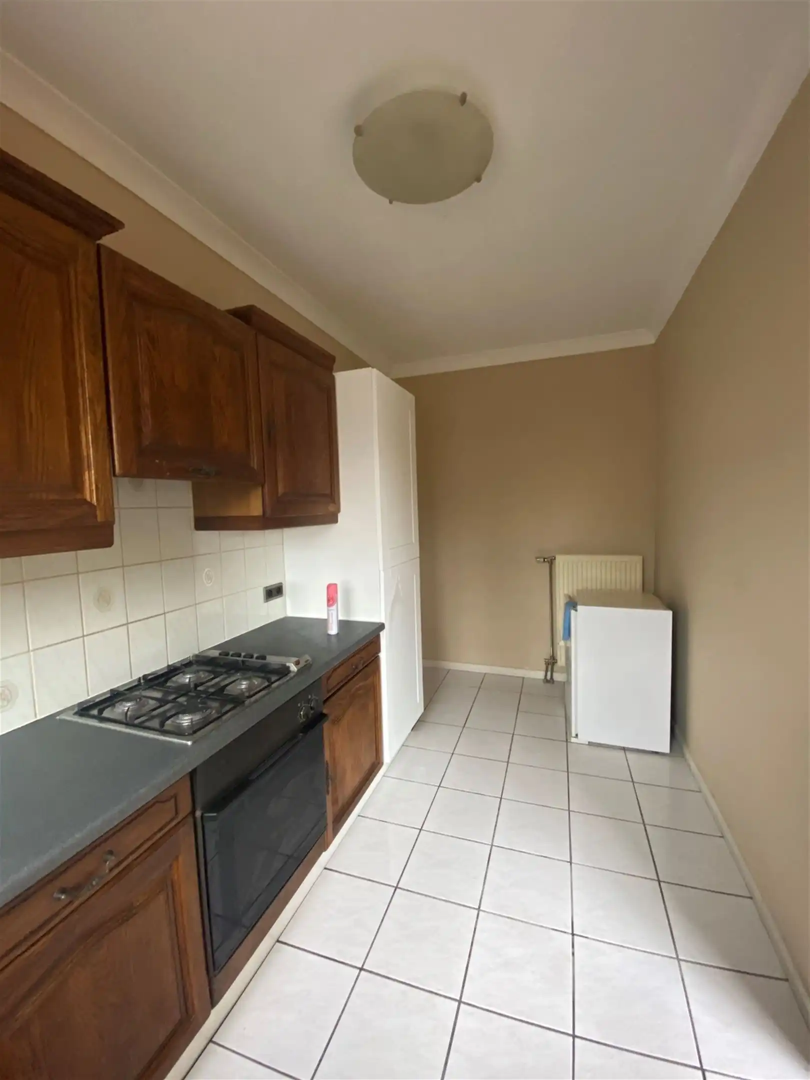 Appartement met 2 slaapkamers en terras foto 5