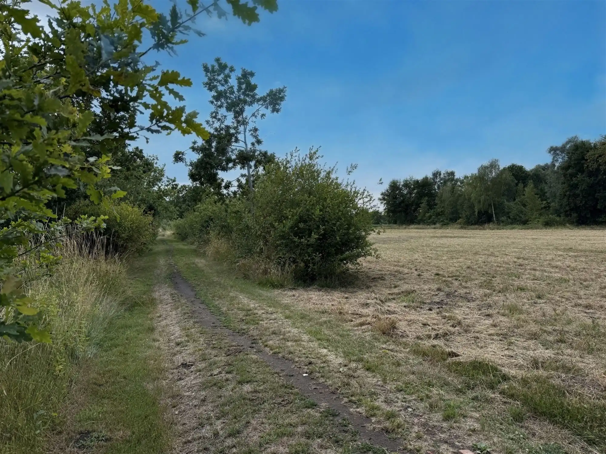 Landbouwgrond te koop in Schriek! foto 4