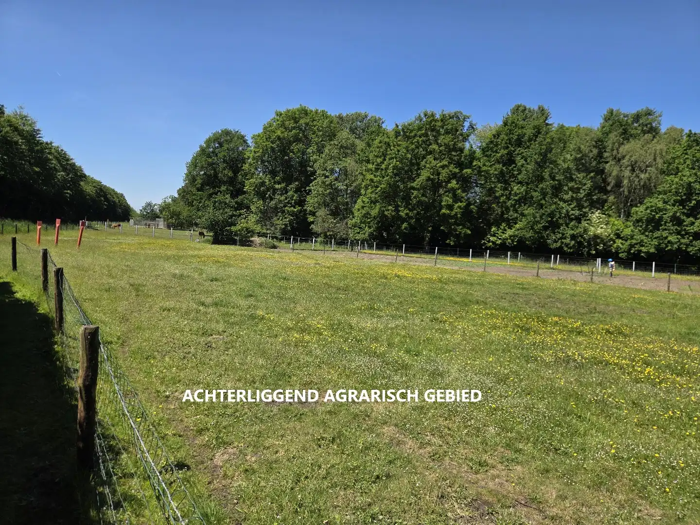 Te renoveren woning, rustig gelegen op een zonnig perceel van 767 m² te Olen-Centrum ! foto 41