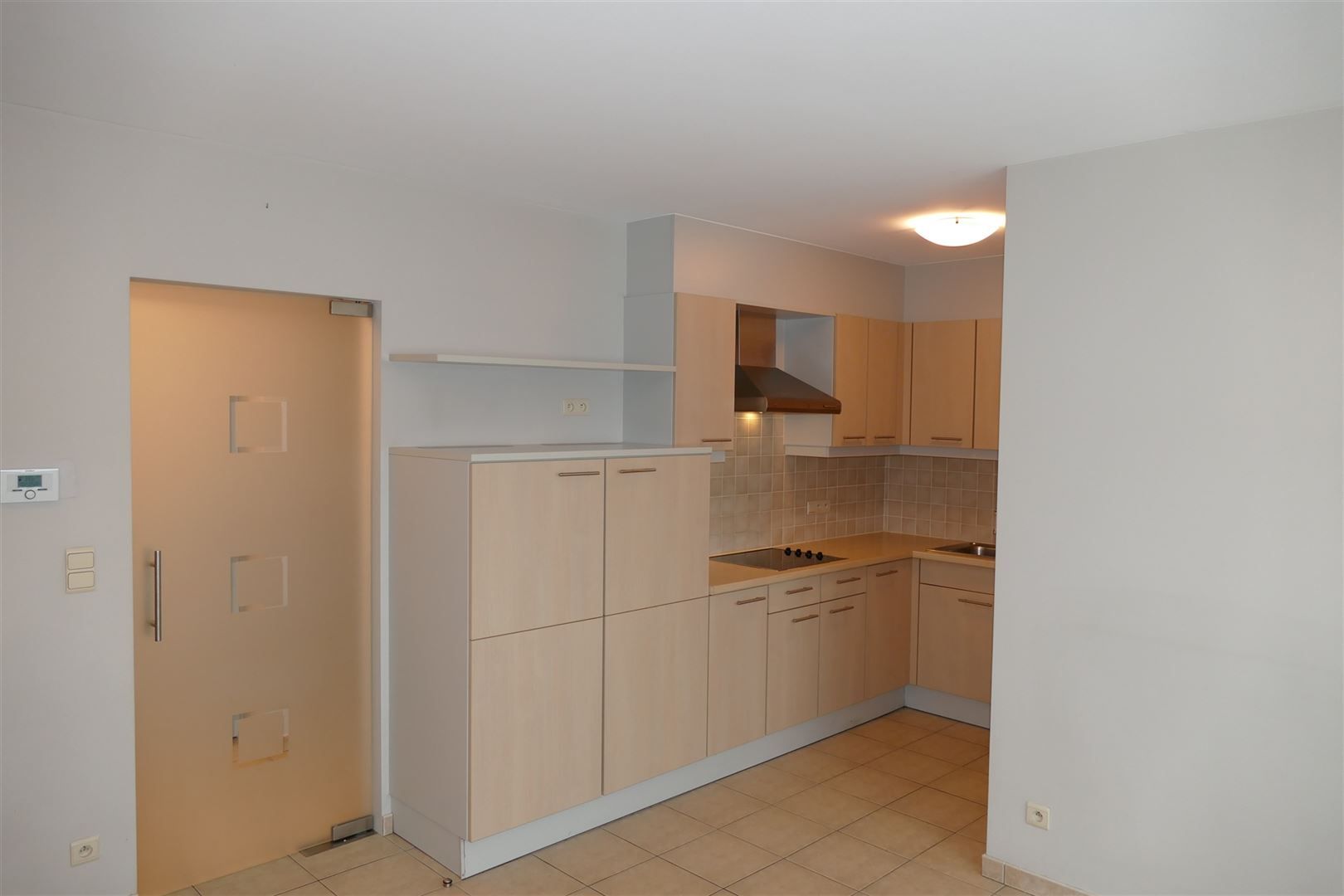 Gelijkvloers appartement met terras en garage foto 3