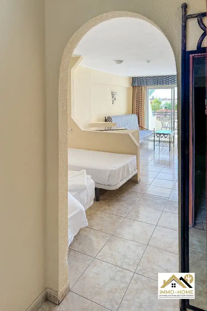 Zeer grote studio in Costa Adeje/Tenerife foto 15