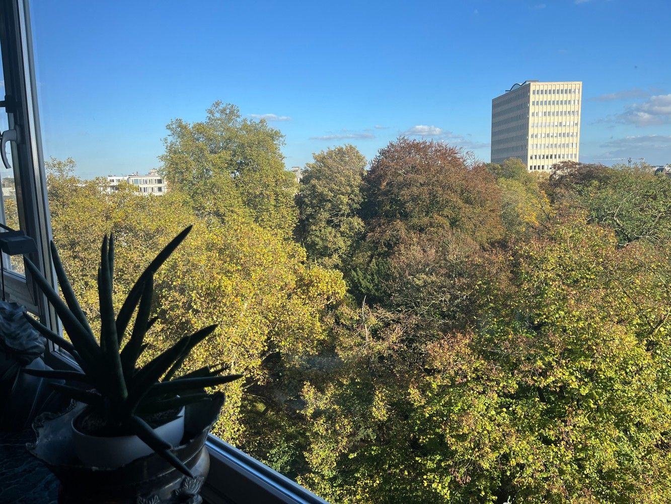 Uitzonderlijk art-deco penthouse met panoramisch uitzicht op het Albertpark foto 25