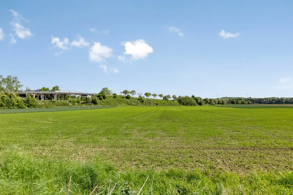 Instapklaar appartement, aangename omgeving randstad Tongeren foto 30