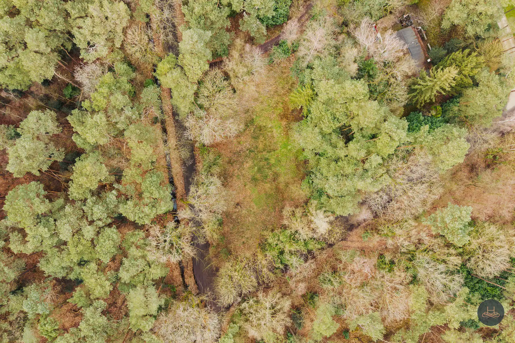 Prachtige bouwgrond van 10 are in bosrijke omgeving in Schilde foto 6