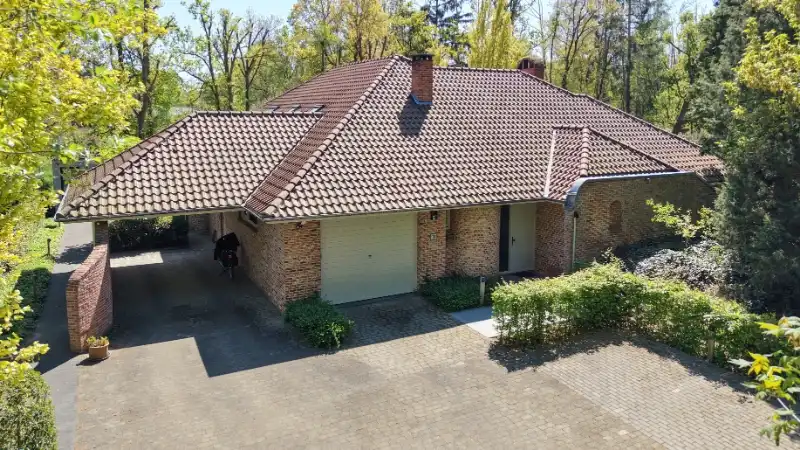 Exclusief gelegen villa van 345m² op 30 are met grote vijver foto 5