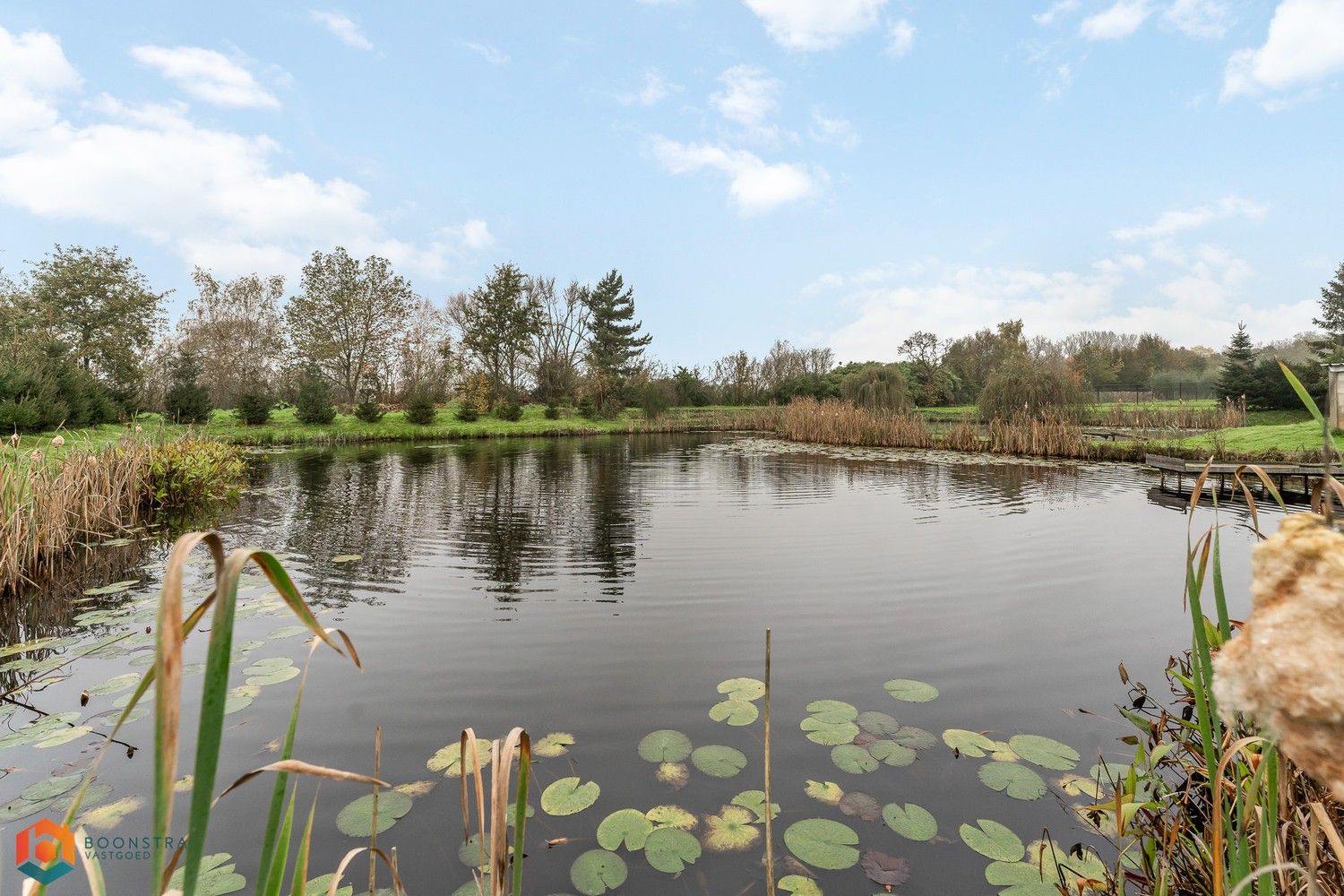 Landbouwwoning met 4 slpkrs en serre op een perceel van 13.598 m² te Sint-Katelijne-Waver foto 17