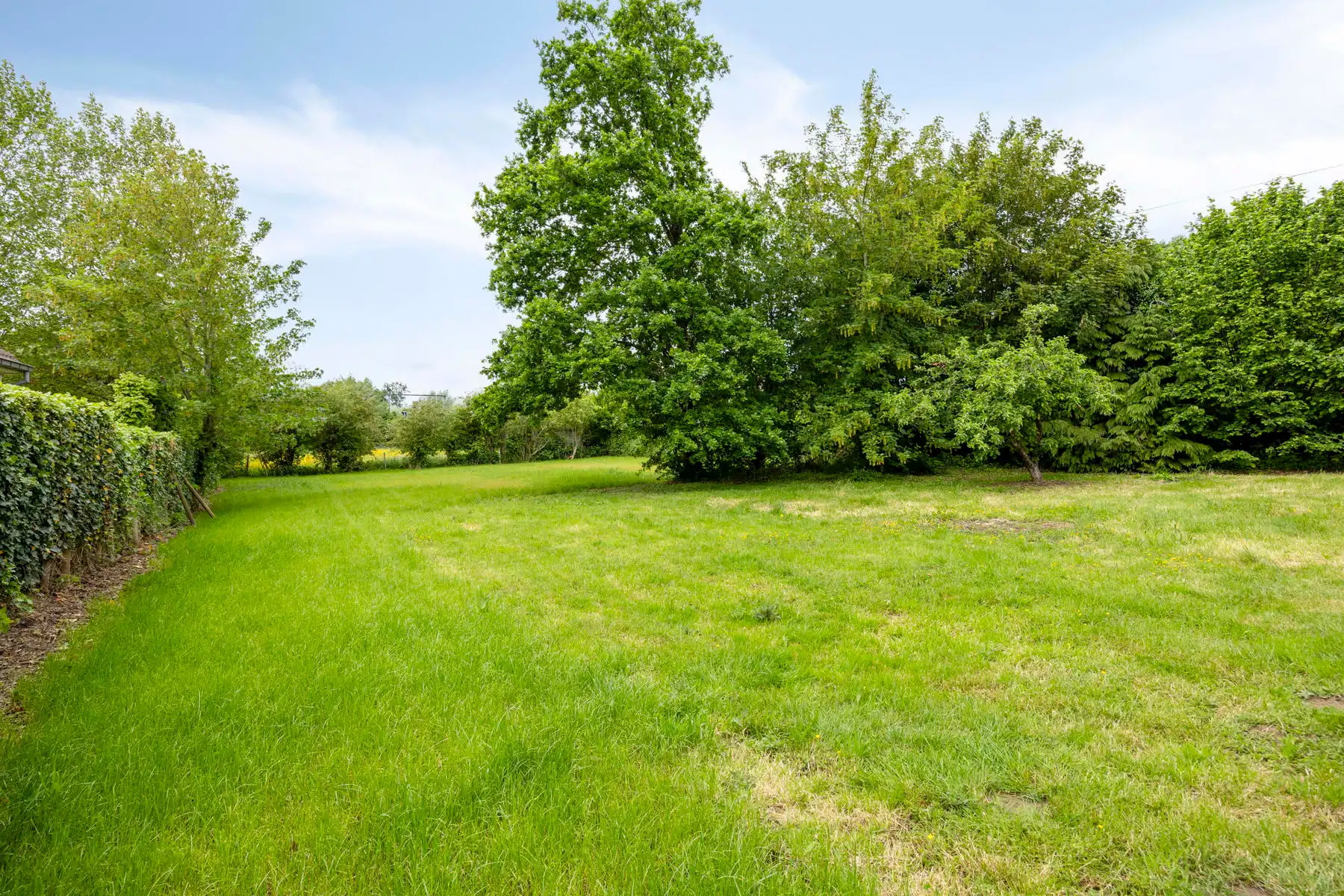 Huis te huur foto 16
