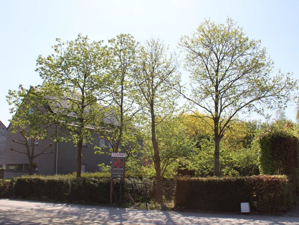 Zeer mooie bouwgrond op gunstige ligging foto 3