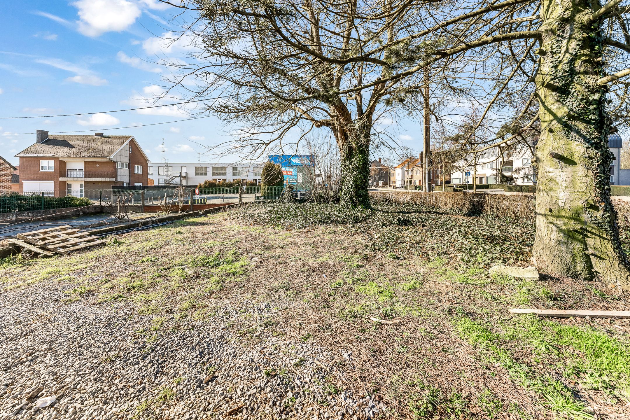 Gezinswoning + atelier op 10a50ca te Herderen foto 25