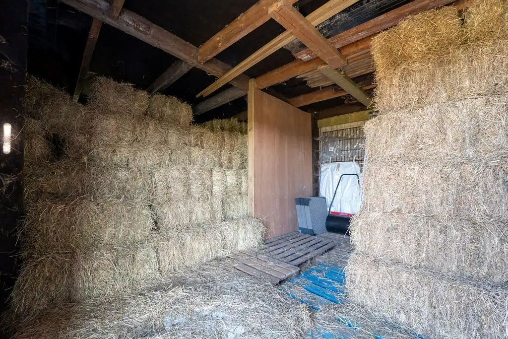 PRACHTIG GERENOVEERDE WONING MET 3 SLAAPKAMERS, 2 BADKAMERS, INPANDIGE GARAGE EN PAARDENSTALLINGEN MET ENERGIEZUINIG EPC TE WIJER (NIEUWERKERKEN)  foto 34