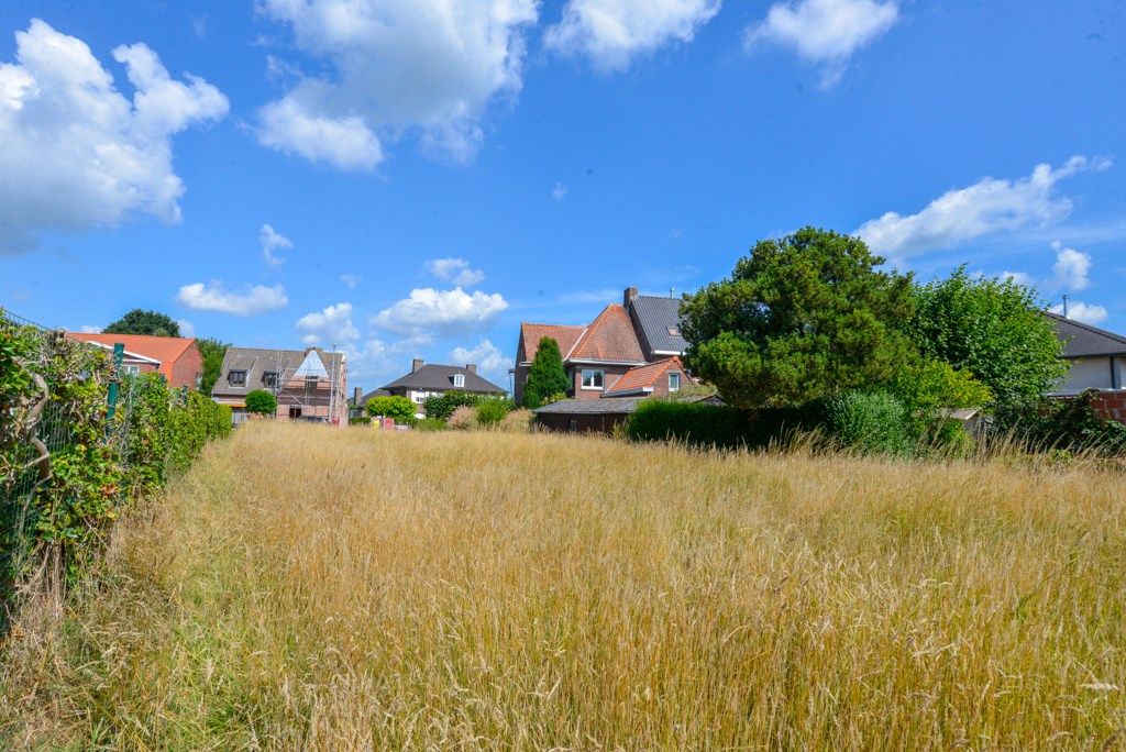 Woning op 1.875m2 centrum Ruiselede, mogelijks op te splitsen in 2 percelen foto 20