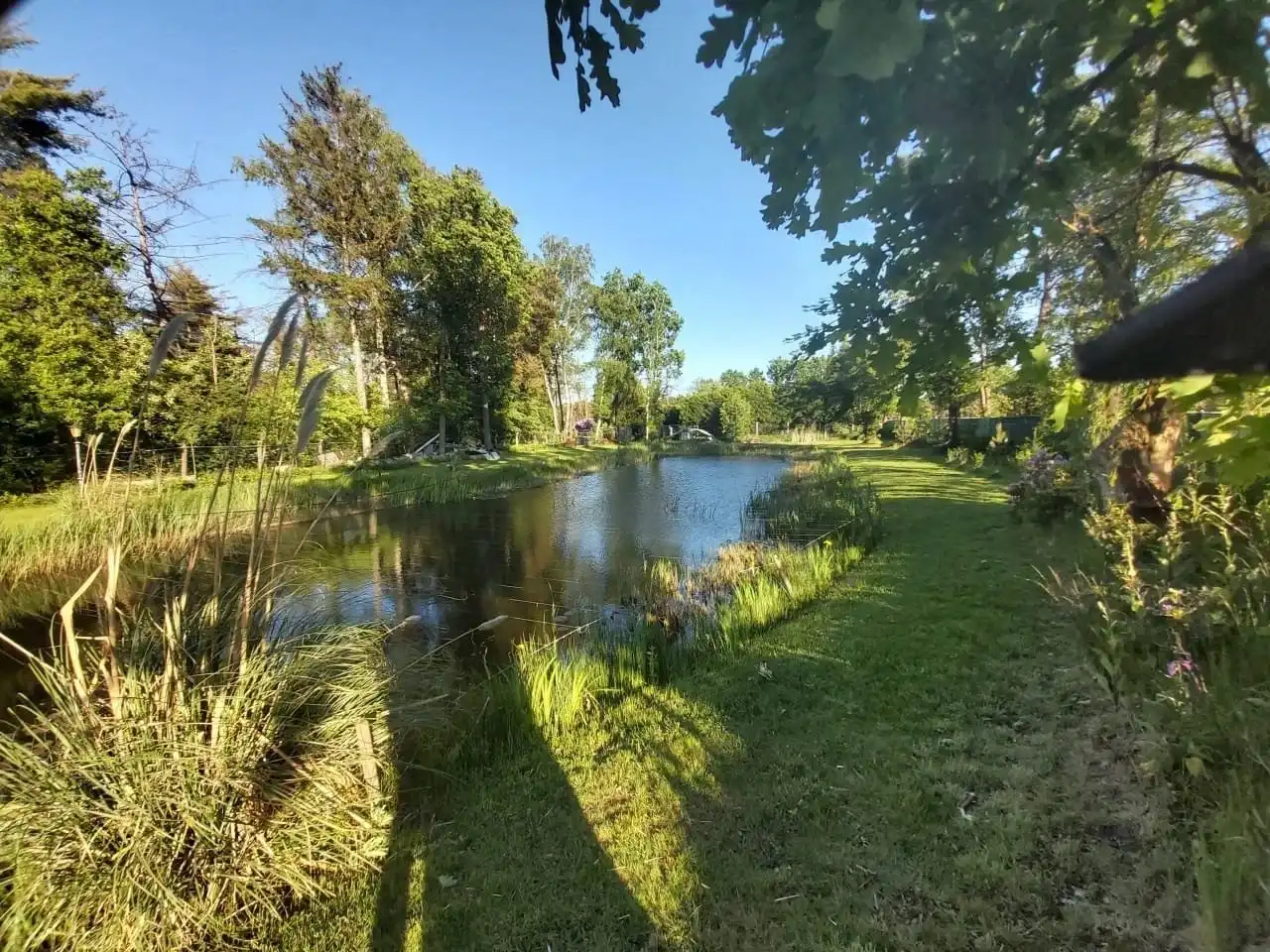 Uniek stuk recreatiegrond met vijver en bouwmogelijkheid – 2154 m². foto {{pictureIndex}}
