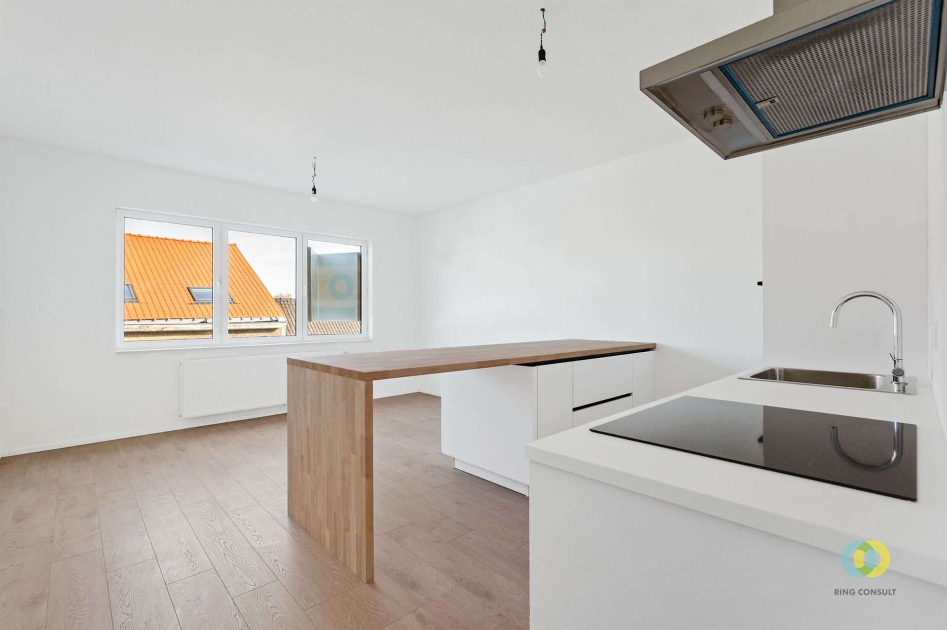 Gerenoveerd appartement met één slaapkamer foto {{pictureIndex}}